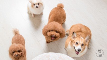 BTC钱包苹果版
